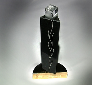 „Inovacijų prizas 2007“ apdovanojimas, skirtas „Penkiems kontinentams“ už sukurtą elektroninės prekybos sistemą per IP televiziją „Penki TV“