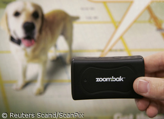 Локатор GPS компании Zoombak сообщает своему пользователю о местонахождении автомобиля или домашнего животного 