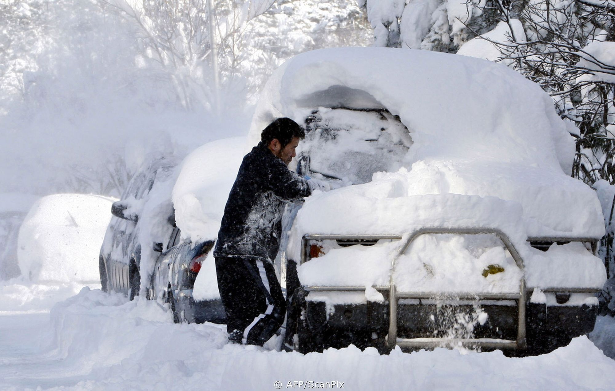 A man removes snow from his car, South Korea. 