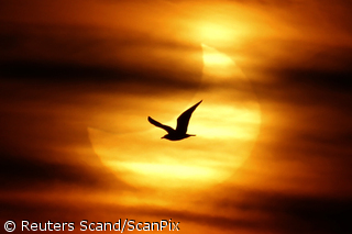 A+partial+solar+eclipse+